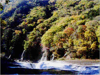 紅葉の吹き割りの滝